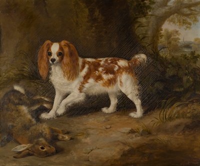 En spaniel med en død hare, ca. 1822-74 (olje på lerret) av Thomas W. Bretland