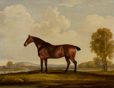 Georgiana: a Horse, ca. 1819 (olje på lerret) av Thomas Weaver