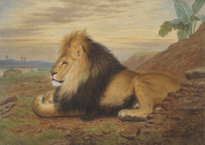 En løve av Thomas William Wood