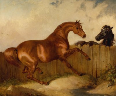 Hingst og hoppe (olje på lerret) av Thomas Woodward