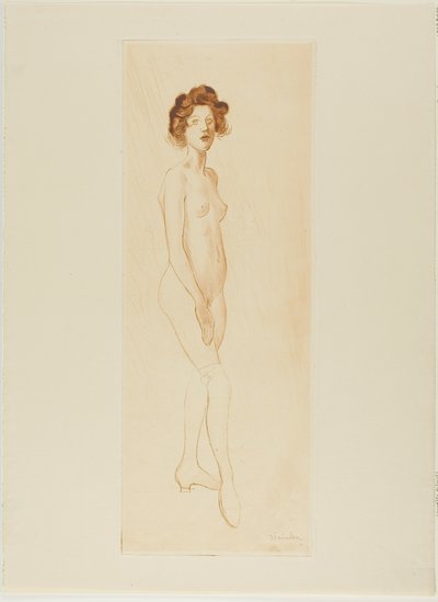  av Théophile Alexandre Pierre Steinlen