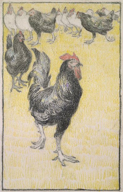 Hane, etterfulgt av svarte og hvite høner (grafitt med svart og farget kritt på hvitt papir, kantet med en linje i svart kritt) av Théophile Alexandre Steinlen