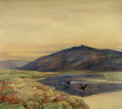 Landskap med fugler av Thorolf Holmboe