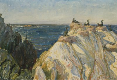 Sjøfugl av Thorolf Holmboe
