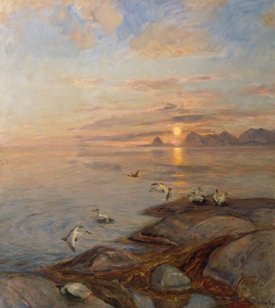 Sjøfugler i midnattssol (olje på lerret) av Thorolf Holmboe