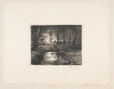 Aa i Borrevejle Skog av Thorvald Niss