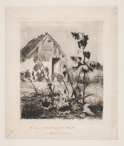 Solsikkene ved huset av Thorvald Niss
