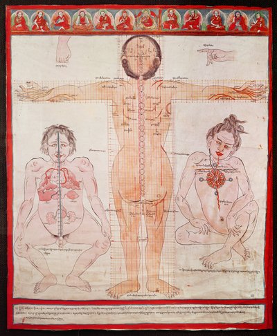 Anatomical Chart, 1938 (penn og akvarell på tøy lagt på lerret) av Tibetan School