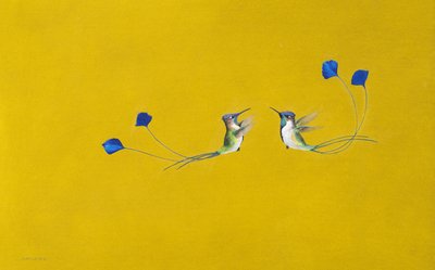 Kolibrier (akvarell og gouache på papir) av Tim Hayward
