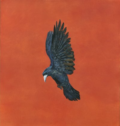 Shine-Red, (Akvarell og gouache på Arches 640gsm papir,) 101,6 x 91,4 cm av Tim Hayward