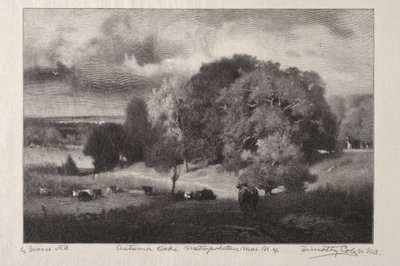 Autumn Oaks av Timothy Cole