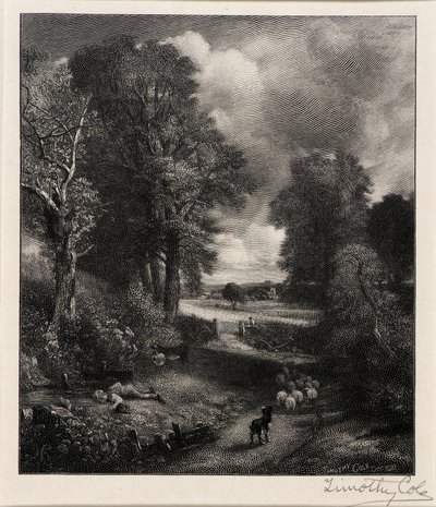  av Timothy Cole