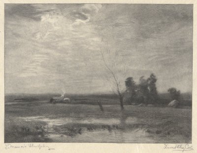 Landskap, ettermiddag av Timothy Cole