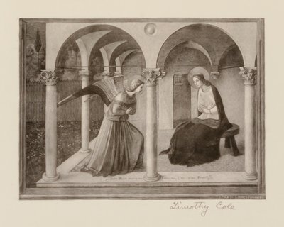 av Timothy Cole