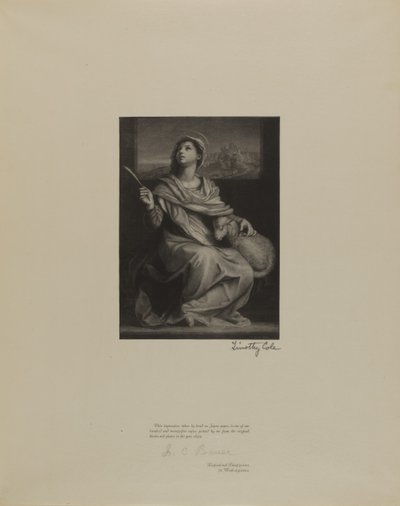  av Timothy Cole