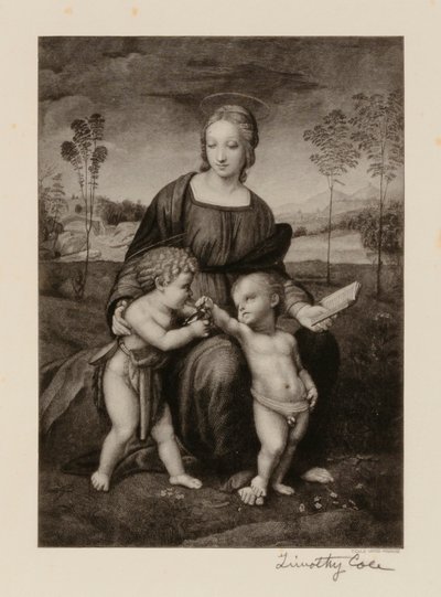  av Timothy Cole
