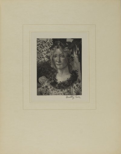  av Timothy Cole