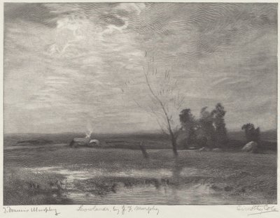 Lavlandet av Timothy Cole after John Francis Murphy