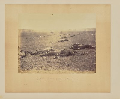 av Timothy H. OSullivan