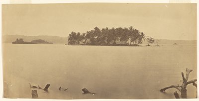 [Darién-eidet (Panama)] av Timothy H. O