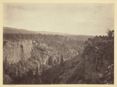 North Fork Canyon, Sierra Blanca Creek, Arizona av Timothy O
