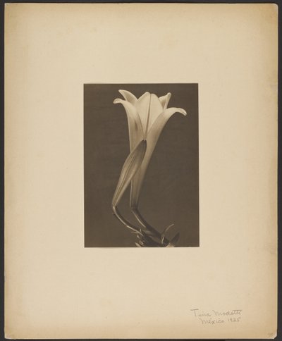 Nr. 1. av Tina Modotti
