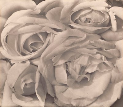 Roses, Mexico av Tina Modotti av Tina Modotti