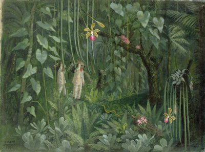 Orkidéjegere fra Brasil av Tirzah Ravilious