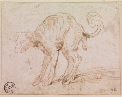 Detalj av en hund som krysser Rødehavet (penn og blekk på papir) av Titian (c.1488-1576)