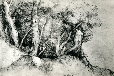 Skoglandskap, c1516-1518, 1937 av Tiziano Vecelli