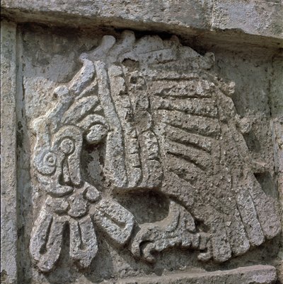 Relieff av en ørn, tempelet til Quetzalcoatl av Toltec Toltec