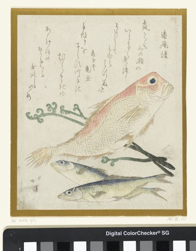 Tre fisk og bracken av Totoya Hokkei