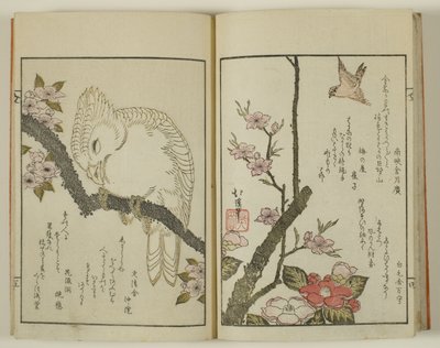  av Totoya Hokkei