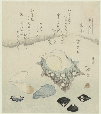 Lilla skall, ferskvannsmuslinger og et turbanskall Murasakigai shijimi sazae (tittel på objekt) En serie med skjell (serietittel) Kaitsukushi (serietittel på objekt) av Totoya Hokkei