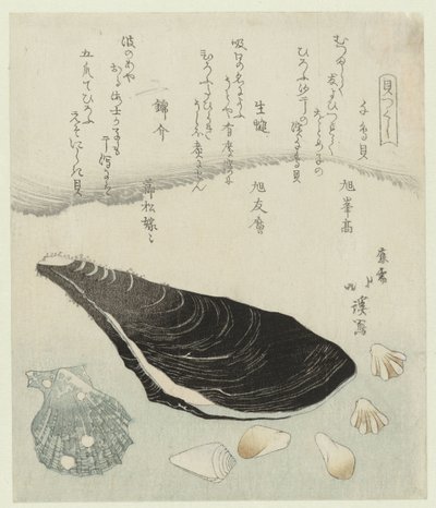 Plevierschelpjes, rauwe mossel en brokaat schelp Chidorigai namakaki nishikigai (title on object) Een serie van schelpen (series title) Kaitsukushi (series title on object)   1366989   no       norwegian Successfully Translated  Original: Huwelijksvoltrekk av Totoya Hokkei