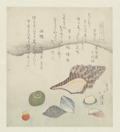 Refleksjonsskall, elfenbensskall og tritonskall Utsusegai baishi hora (tittel på objekt) En serie med skjell (serietittel) Kaitsukushi (serietittel på objekt) av Totoya Hokkei