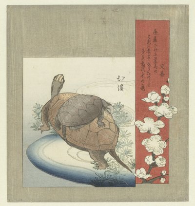 skilpadder av Totoya Hokkei