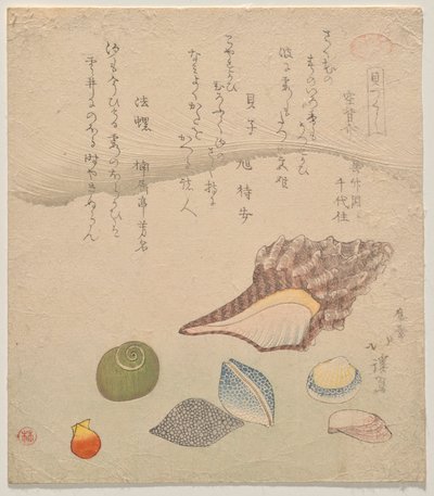 Seven Shells at the Edge of the Sea, fra serien Shells Compendium (Kaizukushi) av Totoya Hokkei