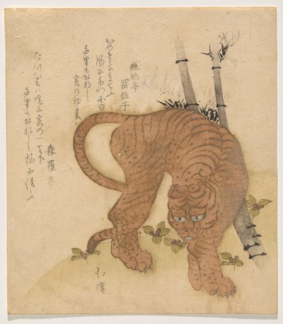 Tiger som stiller seg av Totoya Hokkei