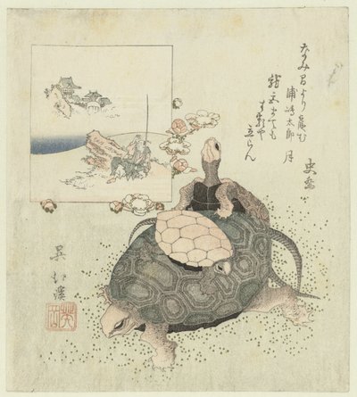 Skilpadder av Totoya Hokkei