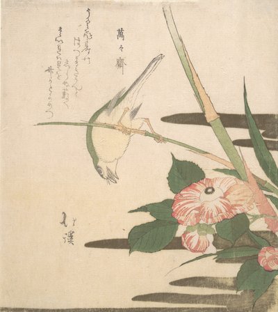 Warbler og Camellia, ca. 1815-20. av Totoya Hokkei