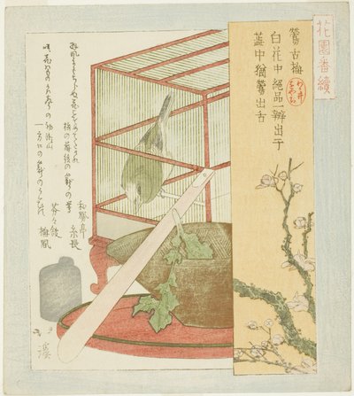 Sanger i bur, fra serien "A Series for the Hanazono Group (Hanazono bantsuzuki)" av Totoya Hokkei