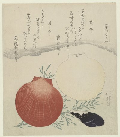 Ferskvannsmusling og japansk sol-og-måneskjell Karasugai tsukihigai (tittel på objekt) En serie med skjell (serietittel) Kaitsukushi (serietittel på objekt) av Totoya Hokkei