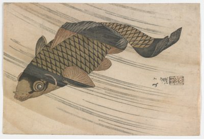Carp Swimming Upstream, Edo-periode, midten av 1820-tallet (farget treblokktrykk) av Toyota Hokkei