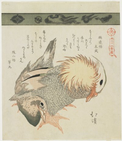Mandarin Duck og Drake, ca. 1830 av Toyota Hokkei