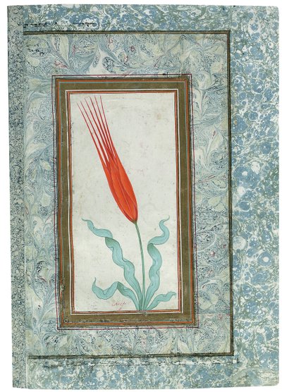 Side fra det tyrkiske tulipanalbumet, Istanbul, 1725 av Turkish School