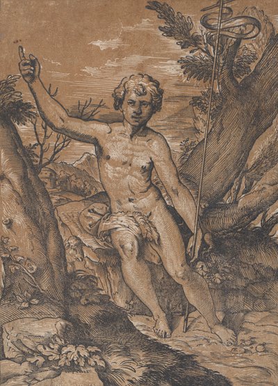 Den unge døperen Johannes i villmarken, ca. 1520-27. av Ugo da Carpi