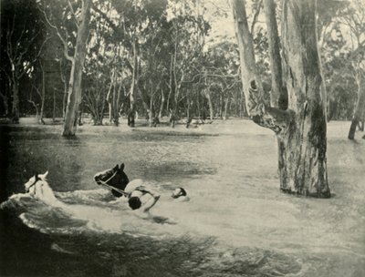 En bankmann, 1901. av Unbekannt