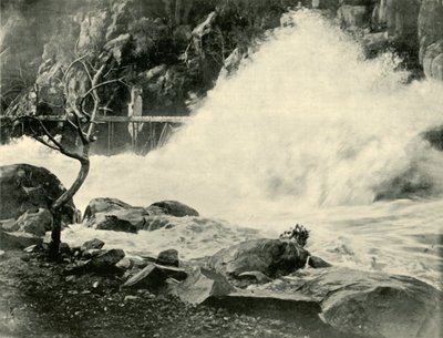 En stor bølge i Cataract Gorge, nær Launceston, 1901. av Unbekannt