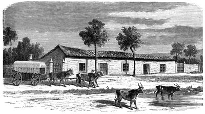A Boer farm, Sør-Afrika, ca 1890 av Unbekannt